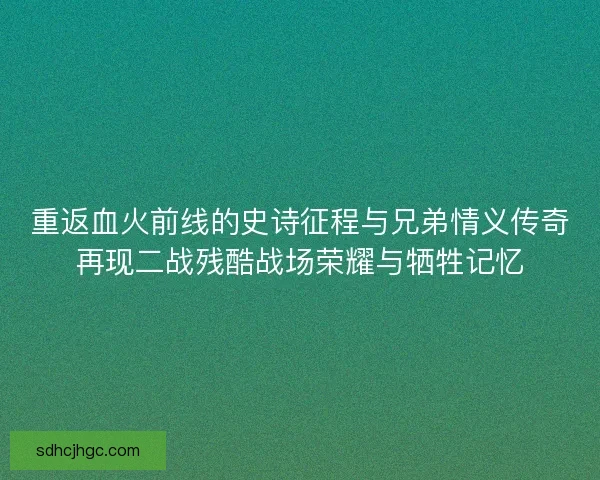 重返血火前线的史诗征程与兄弟情义传奇再现二战残酷战场荣耀与牺牲记忆