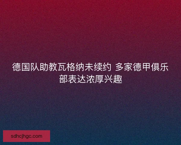 德国队助教瓦格纳未续约 多家德甲俱乐部表达浓厚兴趣