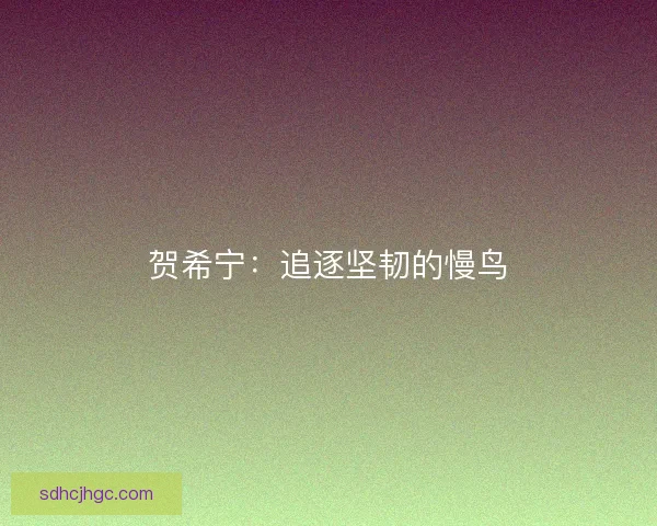 贺希宁:追逐坚韧的慢鸟 贺希宁:追逐坚韧的慢鸟